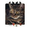 CHAT ALORS ! ACCR.CLES ANIMAUX C'EST LA BENEDICTION