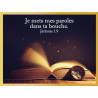 BIBLE OUVERTE ETINCELLANTE CADRE A3
