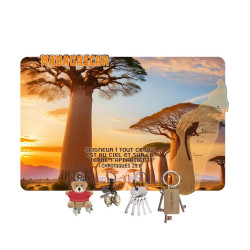 ROUTE DESERTIQUE ET BAOBABS ACCROCHE-CLES