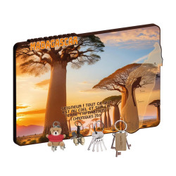 ROUTE DESERTIQUE ET BAOBABS ACCROCHE-CLES
